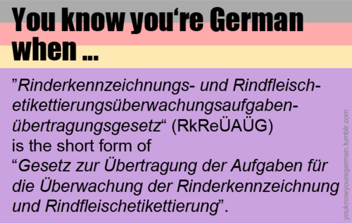 long german words in english