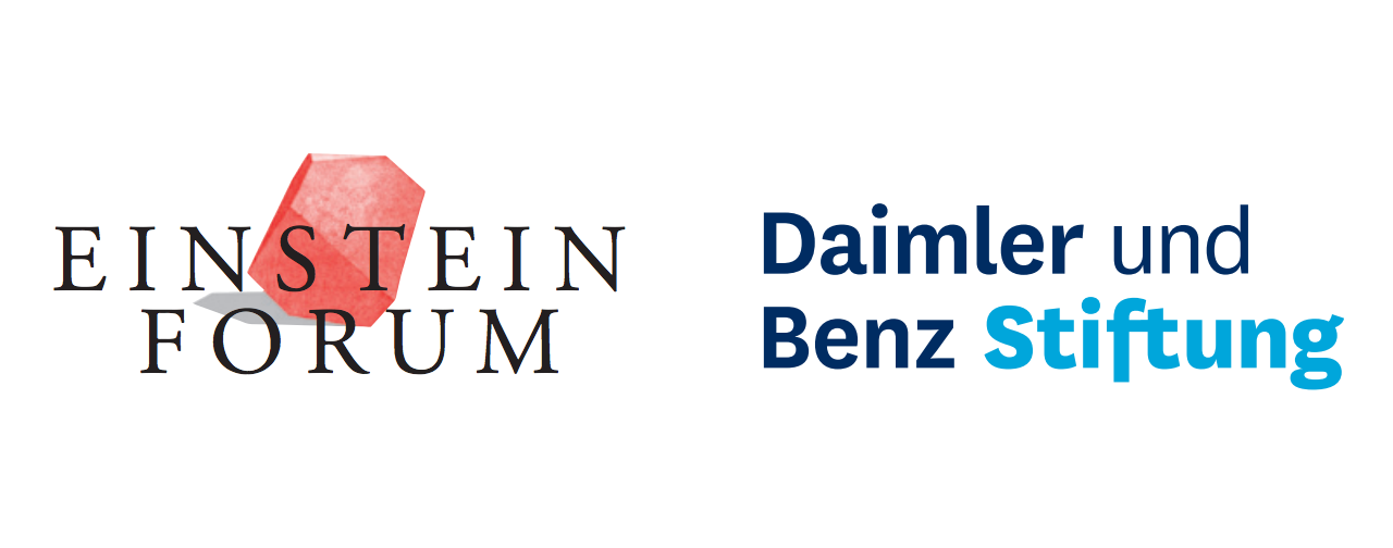 Einstein Forum, Daimler und Benz Stiftung